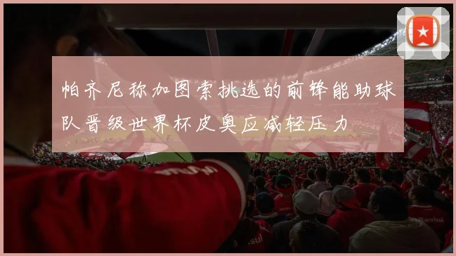 帕齐尼称加图索挑选的前锋能助球队晋级世界杯皮奥应减轻压力
