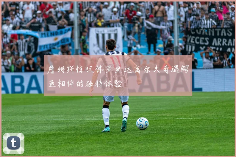 詹姆斯惊叹佛罗里达高尔夫奇遇鳄鱼相伴的独特体验