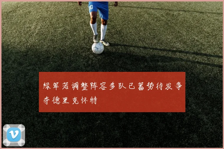 绿军若调整阵容多队已蓄势待发争夺德里克怀特