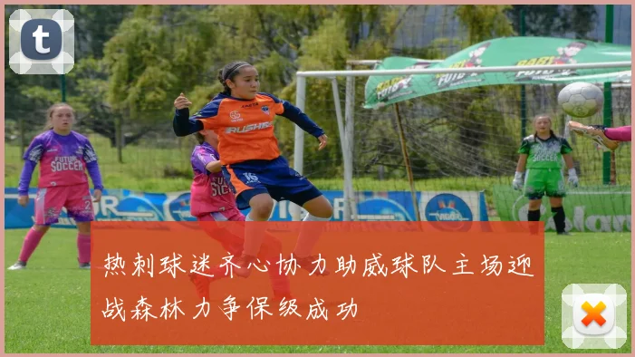 热刺球迷齐心协力助威球队主场迎战森林力争保级成功